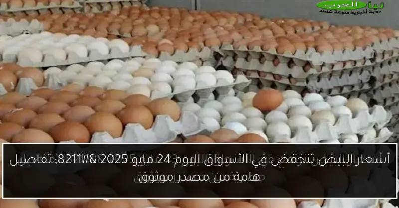 أسعار البيض تنخفض في الأسواق اليوم 24 مايو 2025 – تفاصيل هامة من مصدر موثوق