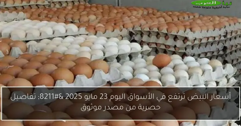 أسعار البيض ترتفع في الأسواق اليوم 23 مايو 2025 – تفاصيل حصرية من مصدر موثوق