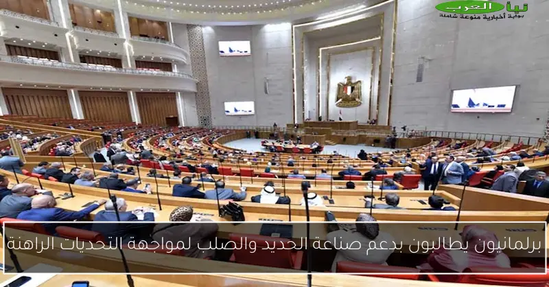 برلمانيون يطالبون الحكومة بوضع خطة فعالة لمواجهة مشكلة انتشار الكلاب الضالة
