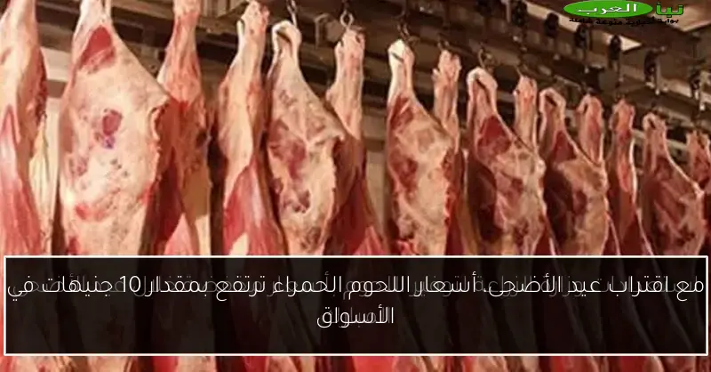 مع اقتراب عيد الأضحى، أسعار اللحوم الحمراء ترتفع بمقدار 10 جنيهات في الأسواق