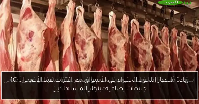 زيادة أسعار اللحوم الحمراء في الأسواق مع اقتراب عيد الأضحى.. 10 جنيهات إضافية تنتظر المستهلكين