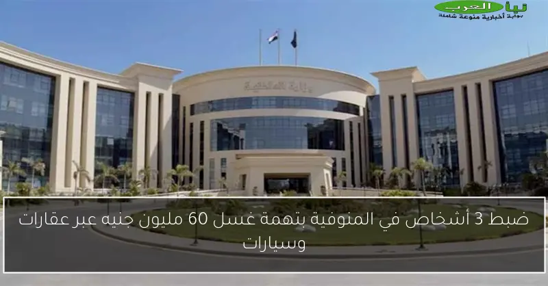 ضبط 3 أشخاص في المنوفية بتهمة غسل 60 مليون جنيه عبر عقارات وسيارات