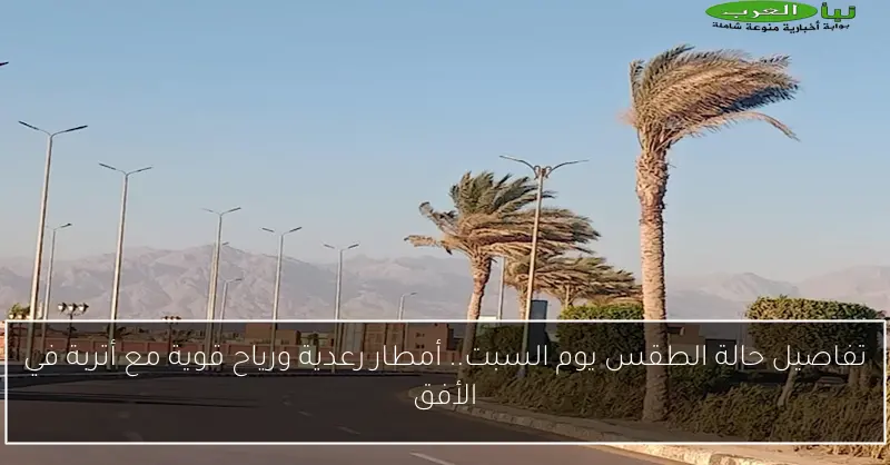 تفاصيل حالة الطقس يوم السبت.. أمطار رعدية ورياح قوية مع أتربة في الأفق