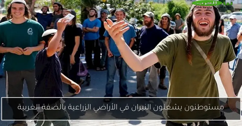 مستوطنون يشعلون النيران في الأراضي الزراعية بالضفة الغربية