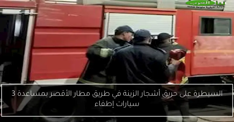 السيطرة على حريق أشجار الزينة في طريق مطار الأقصر بمساعدة 3 سيارات إطفاء