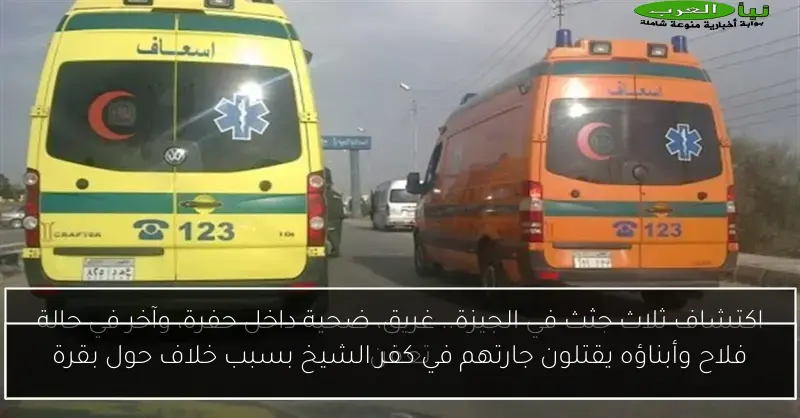 فلاح وأبناؤه يقتلون جارتهم في كفر الشيخ بسبب خلاف حول بقرة