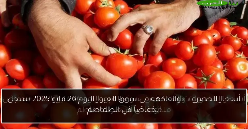أسعار الخضروات والفاكهة في سوق العبور اليوم 26 مايو 2025 تسجل انخفاضاً في الطماطم