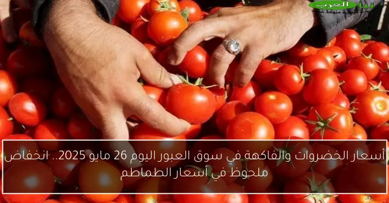 أسعار الخضروات والفاكهة في سوق العبور اليوم 26 مايو 2025.. انخفاض ملحوظ في أسعار الطماطم