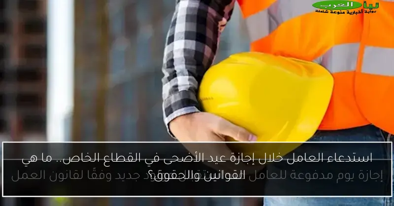 استدعاء العامل خلال إجازة عيد الأضحى في القطاع الخاص.. ما هي القوانين والحقوق؟