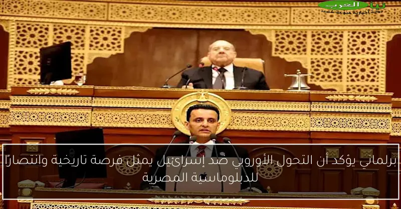 برلماني يؤكد أن التحول الأوروبي ضد إسرائيل يمثل فرصة تاريخية وانتصارًا للدبلوماسية المصرية