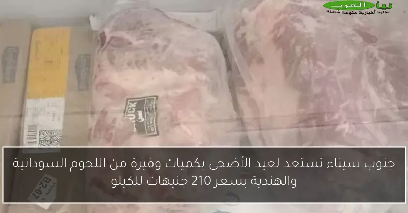 جنوب سيناء تستعد لعيد الأضحى بكميات وفيرة من اللحوم السودانية والهندية بسعر 210 جنيهات للكيلو