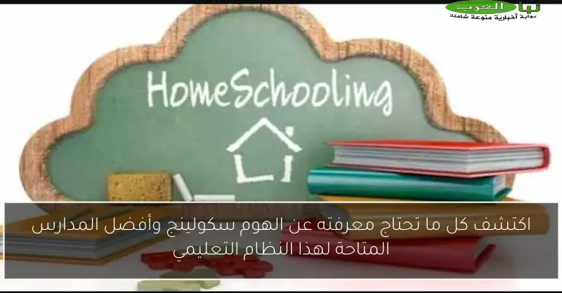 اكتشف كل ما تحتاج معرفته عن الهوم سكولينج وأفضل المدارس المتاحة لهذا النظام التعليمي