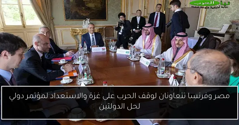 مصر وفرنسا تتعاونان لوقف الحرب على غزة والاستعداد لمؤتمر دولي لحل الدولتين