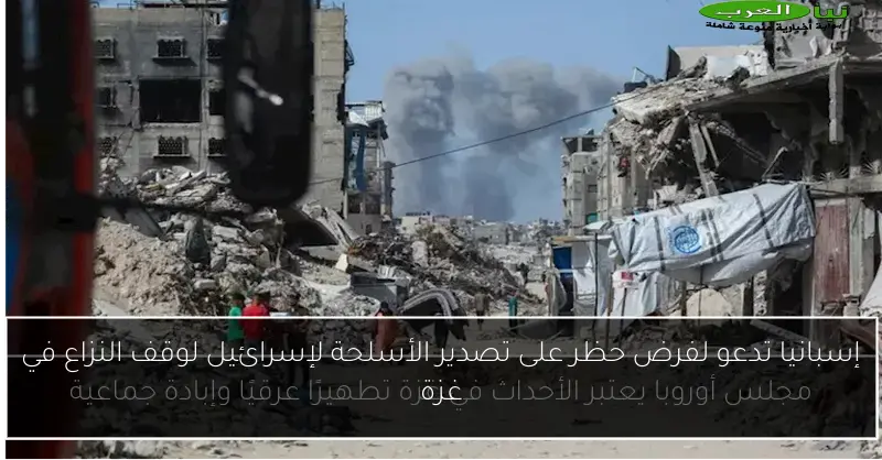 إسبانيا تدعو لفرض حظر على تصدير الأسلحة لإسرائيل لوقف النزاع في غزة