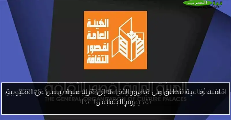 قافلة ثقافية تنطلق من قصور الثقافة إلى قرية منية شبين في القليوبية يوم الخميس