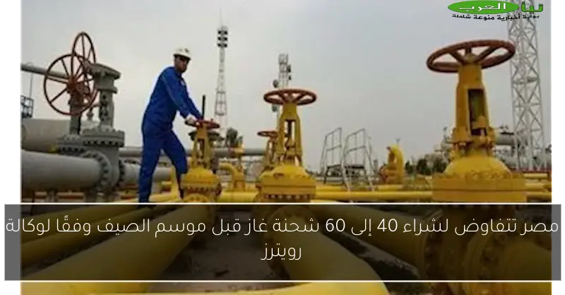 مصر تتفاوض لشراء 40 إلى 60 شحنة غاز قبل موسم الصيف وفقًا لوكالة رويترز