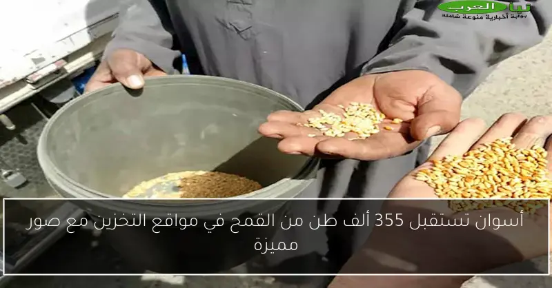 أسوان تستقبل 355 ألف طن من القمح في مواقع التخزين مع صور مميزة