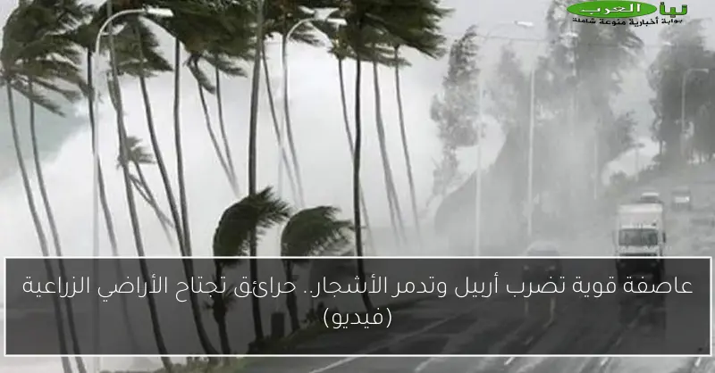 عاصفة قوية تضرب أربيل وتدمر الأشجار.. حرائق تجتاح الأراضي الزراعية (فيديو)