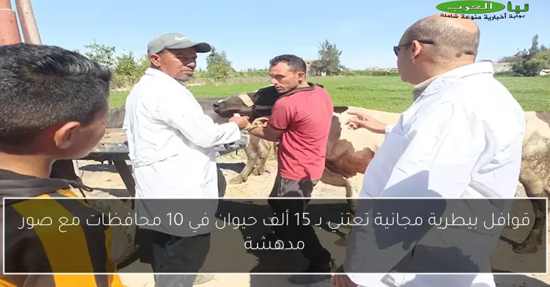 قوافل بيطرية مجانية تعتني بـ 15 ألف حيوان في 10 محافظات مع صور مدهشة