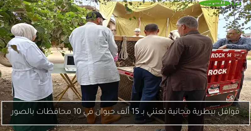 قوافل بيطرية مجانية تعتني بـ 15 ألف حيوان في 10 محافظات بالصور