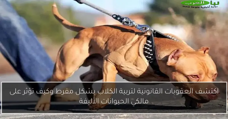 اكتشف العقوبات القانونية لتربية الكلاب بشكل مفرط وكيف تؤثر على مالكي الحيوانات الأليفة