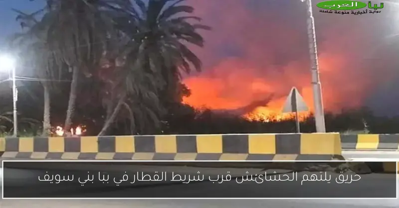حريق يلتهم الحشائش قرب شريط القطار في ببا بني سويف