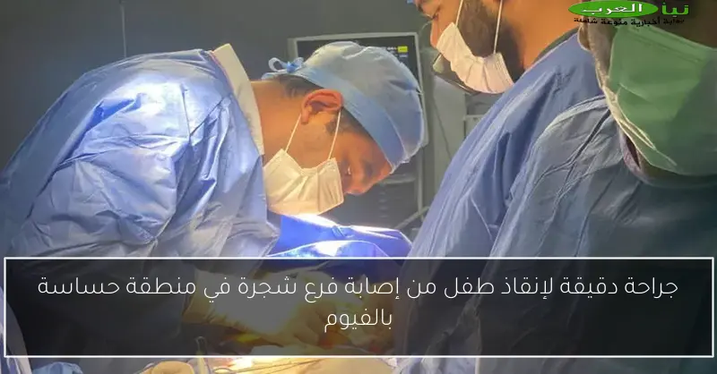 جراحة دقيقة لإنقاذ طفل من إصابة فرع شجرة في منطقة حساسة بالفيوم