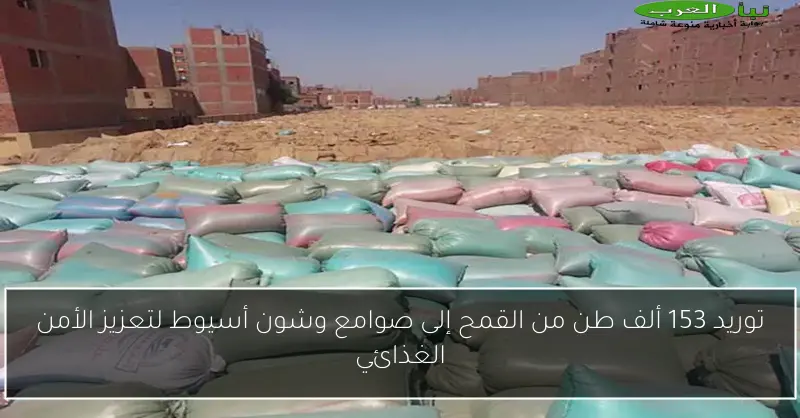 توريد 153 ألف طن من القمح إلى صوامع وشون أسيوط لتعزيز الأمن الغذائي