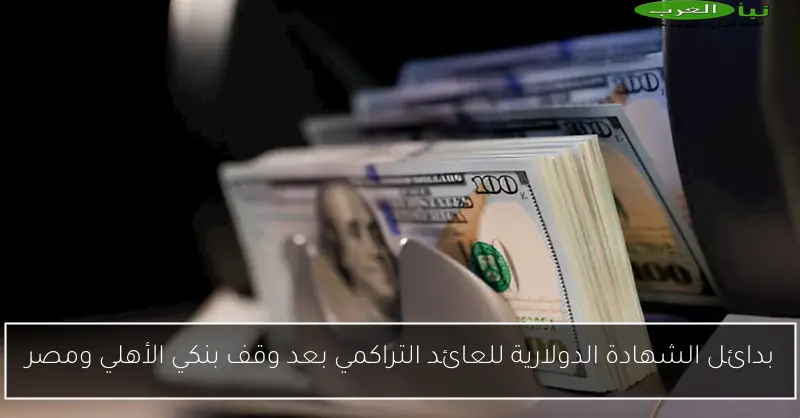 بدائل الشهادة الدولارية للعائد التراكمي بعد وقف بنكي الأهلي ومصر