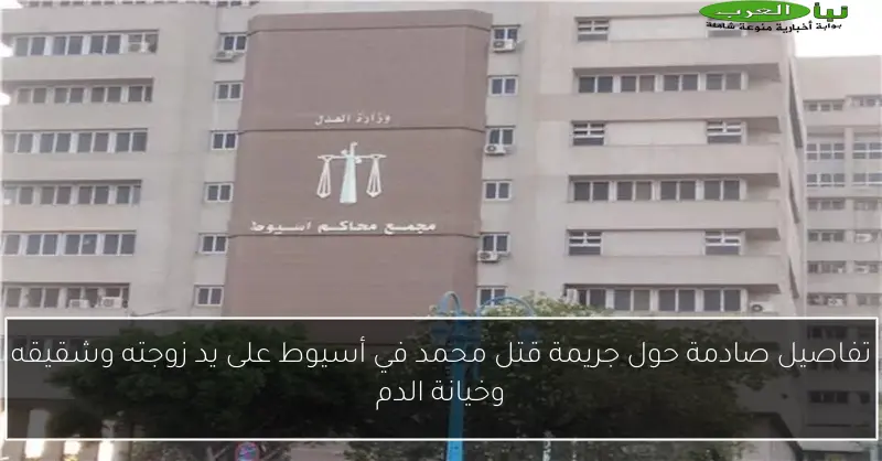 تفاصيل صادمة حول جريمة قتل محمد في أسيوط على يد زوجته وشقيقه وخيانة الدم