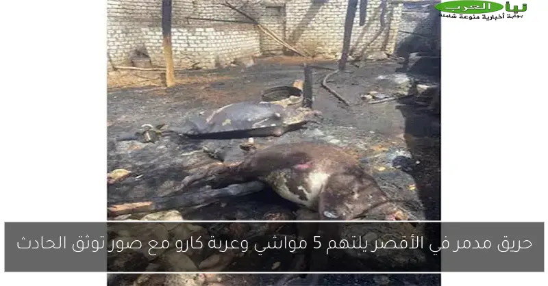 حريق مدمر في الأقصر يلتهم 5 مواشي وعربة كارو مع صور توثق الحادث