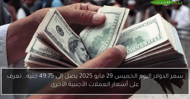 سعر الدولار اليوم الخميس 29 مايو 2025 يصل إلى 49.75 جنيه.. تعرف على أسعار العملات الأجنبية الأخرى