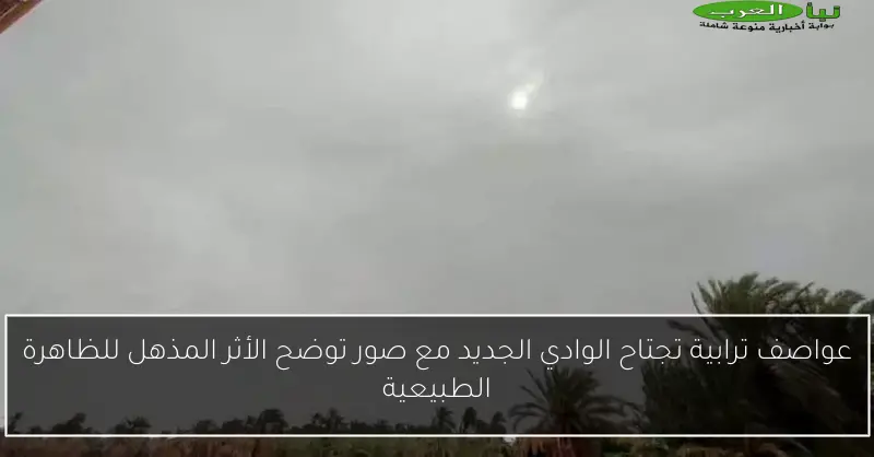 عواصف ترابية تجتاح الوادي الجديد مع صور توضح الأثر المذهل للظاهرة الطبيعية
