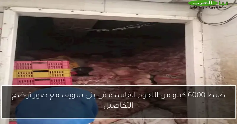 ضبط 6000 كيلو من اللحوم الفاسدة في بني سويف مع صور توضح التفاصيل