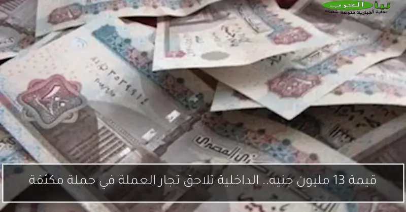 قيمة 13 مليون جنيه.. الداخلية تلاحق تجار العملة في حملة مكثفة