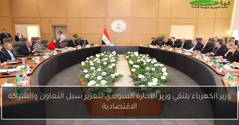 وزير الكهرباء يلتقي وزير التجارة السويدي لتعزيز سبل التعاون والشراكة الاقتصادية