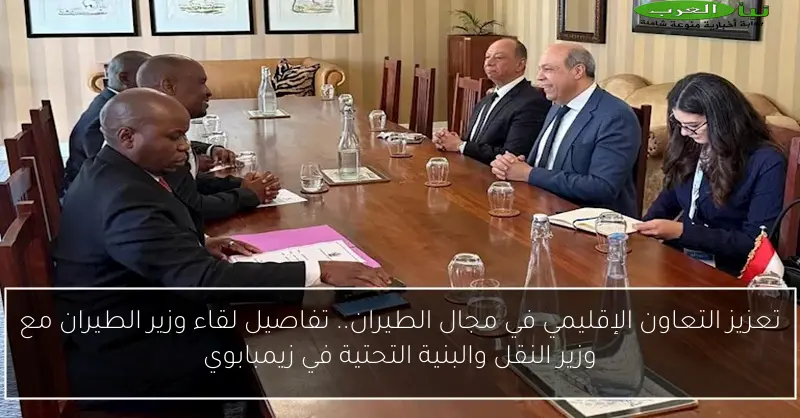 تعزيز التعاون الإقليمي في مجال الطيران.. تفاصيل لقاء وزير الطيران مع وزير النقل والبنية التحتية في زيمبابوي