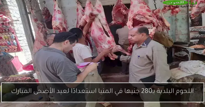 اللحوم البلدية بـ280 جنيها في المنيا استعدادًا لعيد الأضحى المبارك