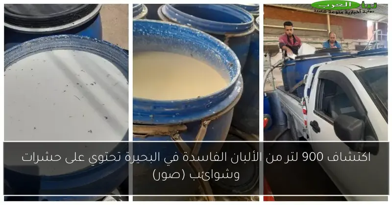 اكتشاف 900 لتر من الألبان الفاسدة في البحيرة تحتوي على حشرات وشوائب (صور)