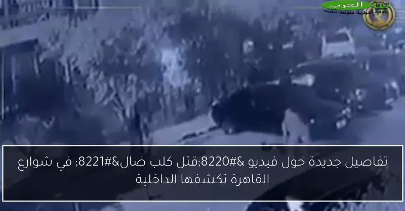 تفاصيل جديدة حول فيديو “قتل كلب ضال” في شوارع القاهرة تكشفها الداخلية