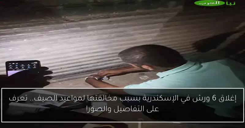 إغلاق 6 ورش في الإسكندرية بسبب مخالفتها لمواعيد الصيف.. تعرف على التفاصيل والصور!