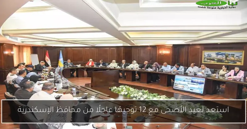 استعد لعيد الأضحى مع 12 توجيهًا عاجلًا من محافظ الإسكندرية