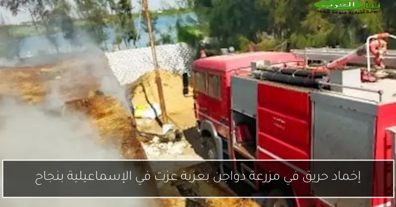 إخماد حريق في مزرعة دواجن بعزبة عزت في الإسماعيلية بنجاح