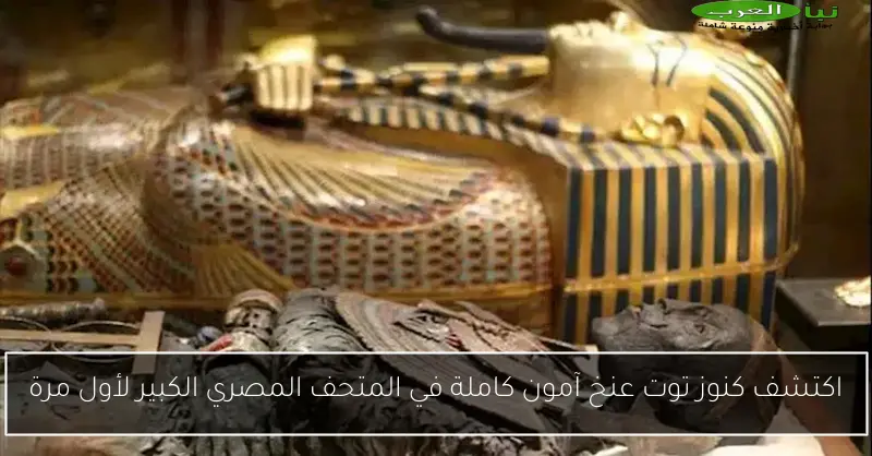 اكتشف كنوز توت عنخ آمون كاملة في المتحف المصري الكبير لأول مرة