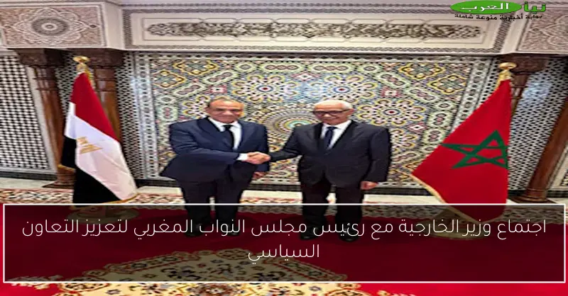 اجتماع وزير الخارجية مع رئيس مجلس النواب المغربي لتعزيز التعاون السياسي