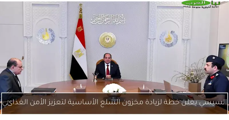 السيسي يعلن خطة لزيادة مخزون السلع الأساسية لتعزيز الأمن الغذائي