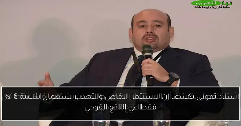 أستاذ تمويل يكشف أن الاستثمار الخاص والتصدير يسهمان بنسبة 16% فقط في الناتج القومي