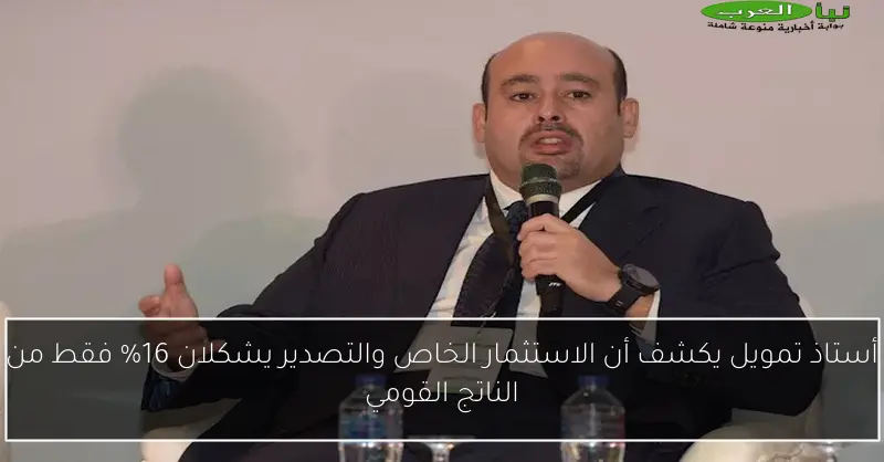 أستاذ تمويل يكشف أن الاستثمار الخاص والتصدير يشكلان 16% فقط من الناتج القومي