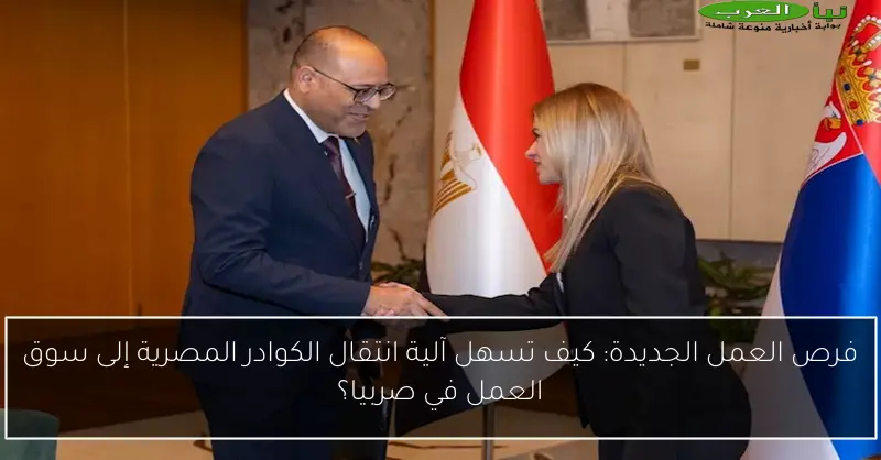 فرص العمل الجديدة: كيف تسهل آلية انتقال الكوادر المصرية إلى سوق العمل في صربيا؟