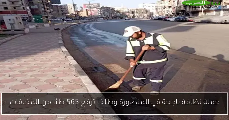 حملة نظافة ناجحة في المنصورة وطلخا ترفع 565 طنًا من المخلفات